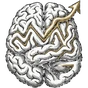 8MG logo, a hand inked brain with a gold growth arrow